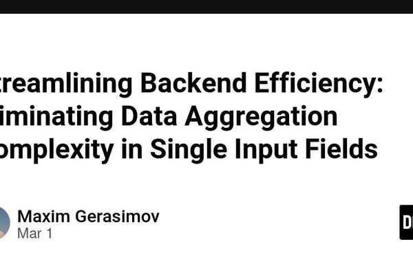 Streamlining Backend Efficiency: Eliminating Data Aggregation Complexity in Single Input Fields