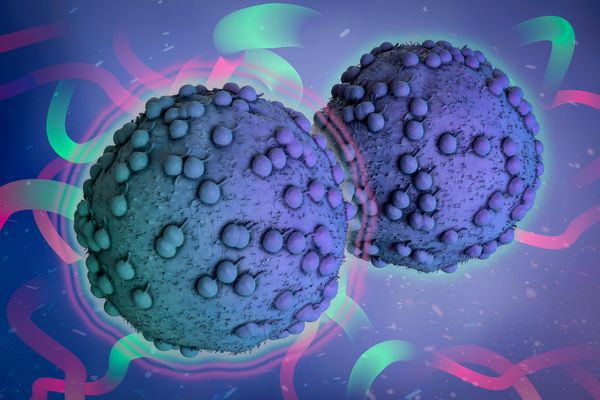 Why Some Cancer Therapies Fail: MIT Researchers Discover Built-in Resistance Mechanism