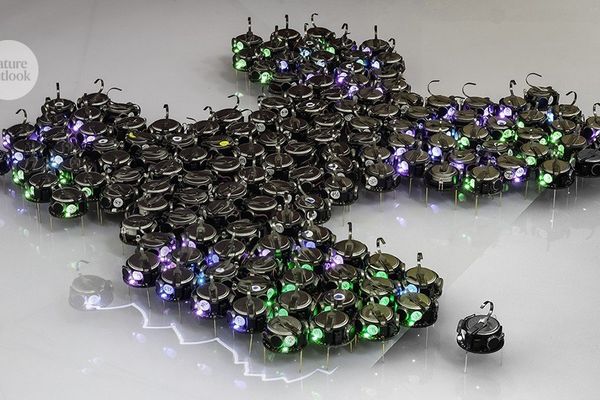 Swarm Robotics Enters the Bloodstream: Nanoparticle Collectives Target Cancer with Emergent Intelligence