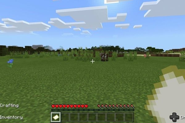 Swatting hoax sees cops raid elderly Minecraft player’s home