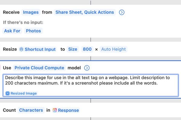 Taming the Unpredictable: Inside Developers' Real-World Struggles with Apple's Shortcuts AI