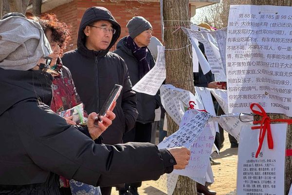 Chinese Matchmaking Apps Surge as Marriage Rates Fall
