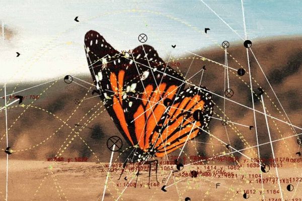 Google, Huawei, Microsoft, and Nvidia Are Spending Millions on AI Weather Forecasting