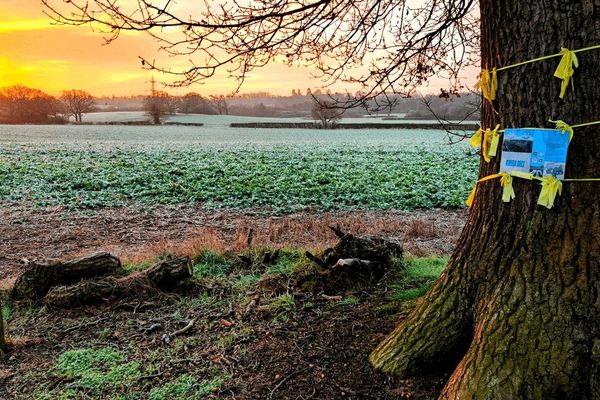 UK Locals Challenge Equinix's $5B Data Center Plans Over Green Belt Land