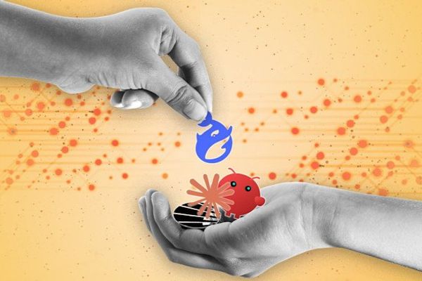 Chinese AI Models Overtake US Rivals in Token Consumption, Signaling Shifting Market Dynamics