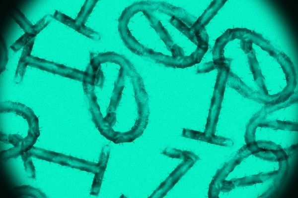 AI Researchers Warn of Dual-Use Threat in Infectious Disease Datasets