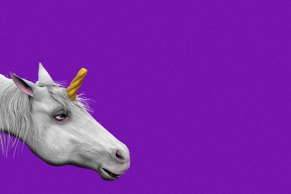 The Rise of "Undercorns": How 25% of VC-Backed Unicorns Lost Their Horns