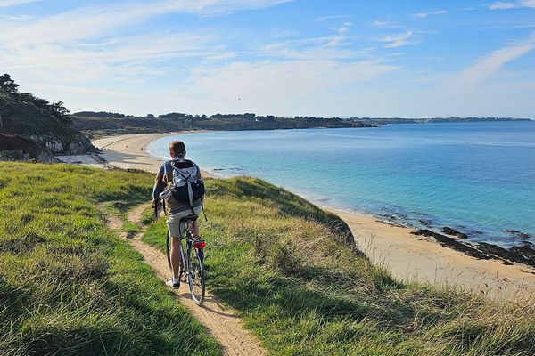 Compression as Classification: How Python 3.14's Zstandard Module Enables Efficient Text Categorization