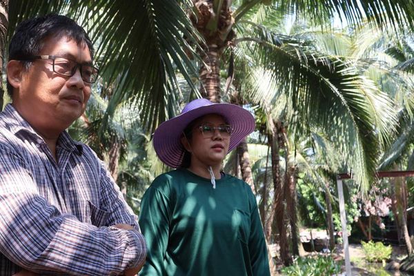 Thailand Cracks Down on Foreign Enterprises Disguising as Local Businesses Amid Growing Chinese Agricultural Influence