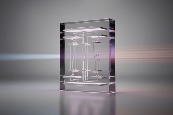 The Semantics of Simplicity: How Code-Only Agents Redefine Trust in AI Systems