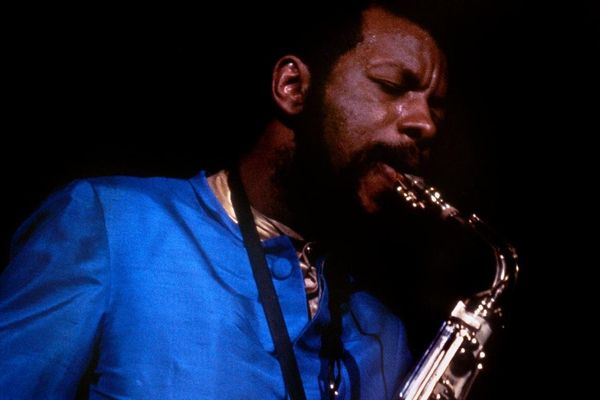 The Consciousness Conundrum: What Jazz and Dolphins Reveal About Synthetic Minds