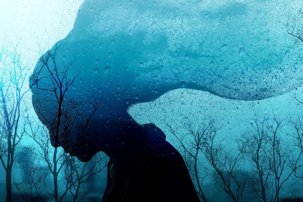 The Dark Side of Digital Companionship: When AI Interactions Trigger Mental Health Crises