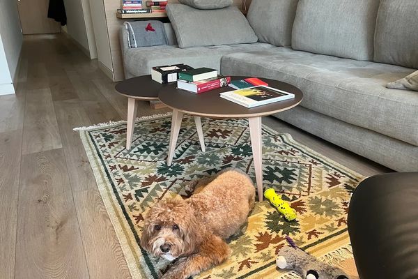 The Hidden Cost of Convenience: How Amazon's Print-on-Demand Books Are Reshaping the Publishing Industry