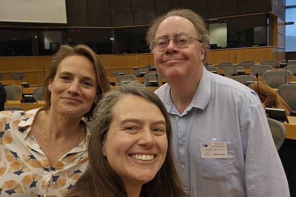 European Digital Sovereignty: Navigating the Technical and Political Challenges of Democratic Tech