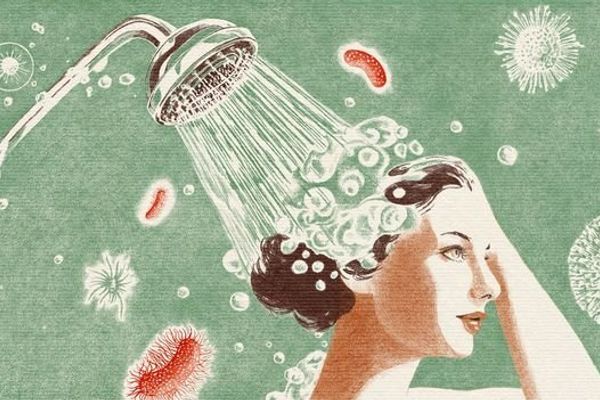 The Hidden Microbial Ecosystem in Your Shower: Plumbing Materials and Pathogen Risks