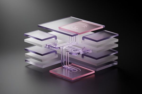 Structural Confusion: The Hidden Barrier in Backend Development Education