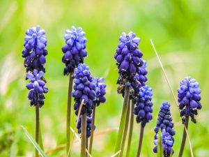 The Road Not Taken: A World Where IPv4 Evolved – billpg industries™