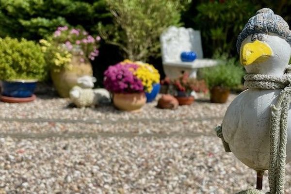 The Seagull Effect: How AI Coding Assistants Create More Mess Than Magic