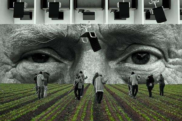 The surprise winners of Trump's immigration wars