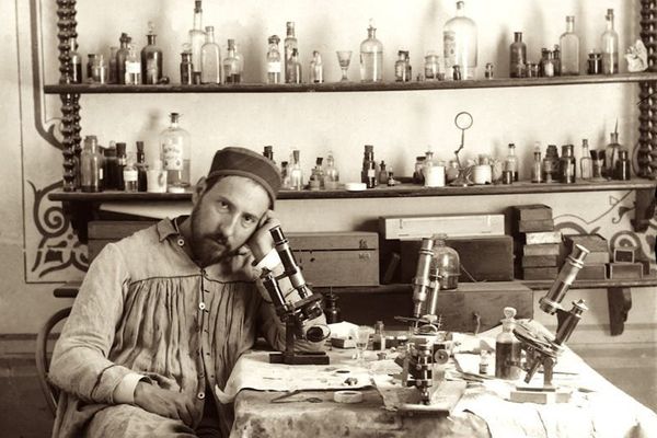 The Uncharted Terrain: Why the Human Brain Remains a Mystery Even as AI Mimics Cognition