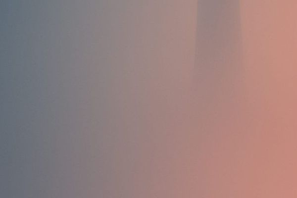 The Unreasonable Founder: How Tech Visionaries Forge Empires Through Benevolent Dictatorship