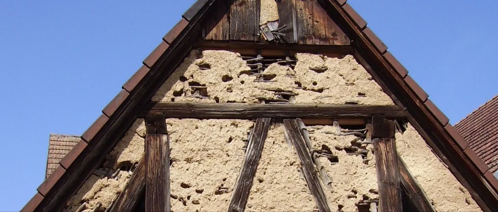 Stare through my flesh, and look upon my bones.