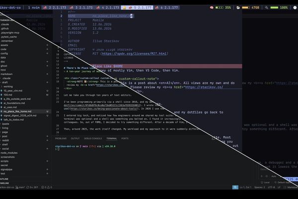 Developer returns to Vim as AI changes code review