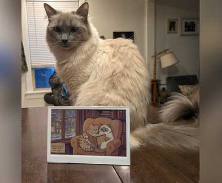 e-ink-weather-forecast