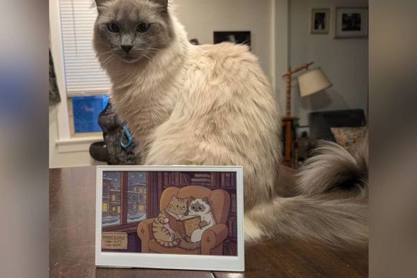 This ESP32 Home Assistant Project Delivers Adorable Weather Forecasts