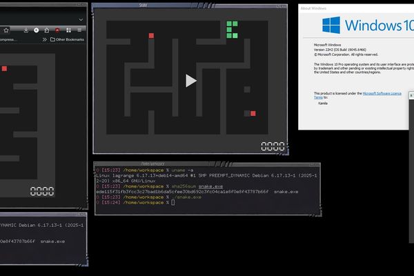 A 13 KiB Polyglot Game: How One File Runs on Windows, Linux, and the Browser