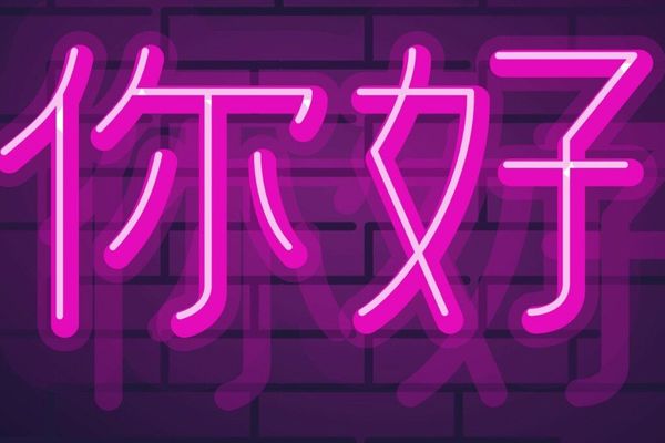 When the BIOS Spoke Chinese: A Cautionary Tale About IT Standardization