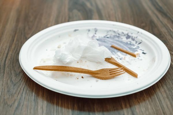 Milk-Based Plastic Film Breaks Down in 13 Weeks, Offering Hope for Sustainable Packaging