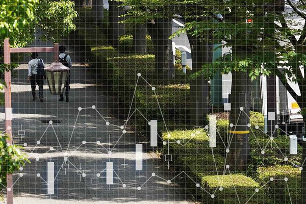 Japan's Urban Tree Coverage Declines While Global Cities Go Green