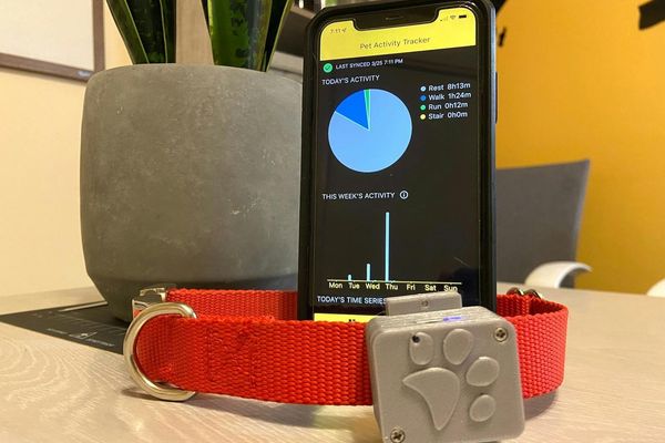 TinyML Pet Activity Tracker: From XIAO BLE Sense to Edge Impulse