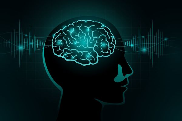 Brain Waves Organize Neural Task Forces for Flexible Cognition, Study Confirms