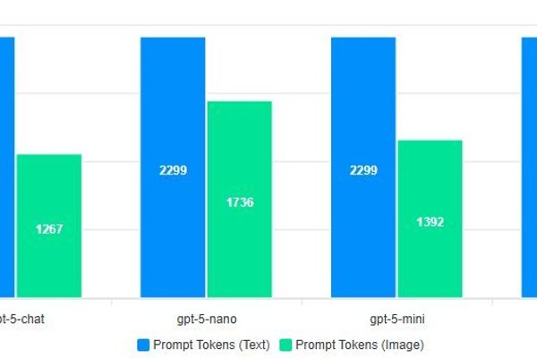 Token Trickery: Can Converting Text to Images Slash Your LLM API Costs?