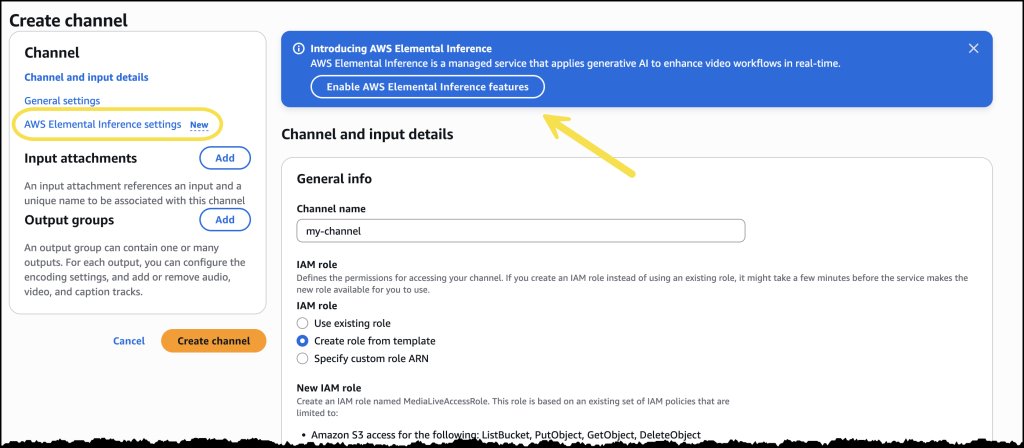 AWS MediaLive inference