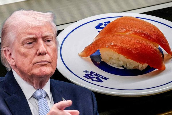 Trump’s $1‑$5 million Stake in Kura Sushi USA Raises Governance Questions