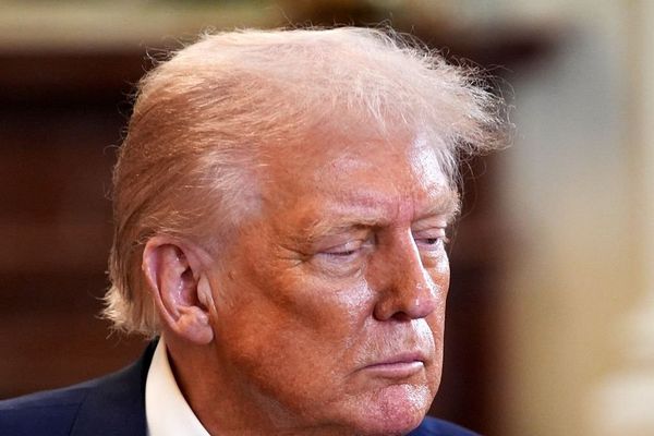 Trump Administration Unveils 'Common Sense' AI Policy: No Mandatory Payments for Copyrighted Training Data