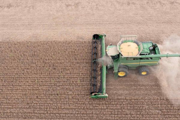 Trump Trade Deals Drive 17% Surge in US Exports to Emerging Markets Excluding China