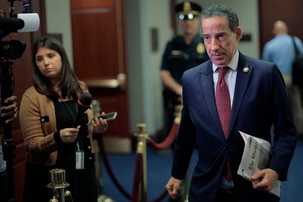 Jamie Raskin Alleges Trump Appears 'More Than a Million Times' in Unredacted Epstein Files