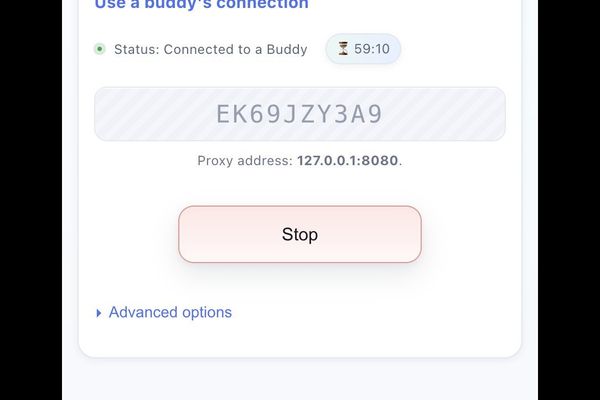 TunnelBuddy Turns Your Home Router Into a Personal VPN: A Peer‑to‑Peer Solution for Developers and Travelers