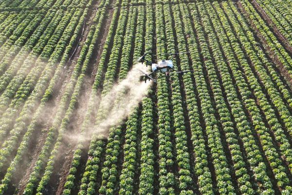 Turkish Agri-Drone Manufacturer Baibars Capitalizes on Western China Fears for Global Expansion