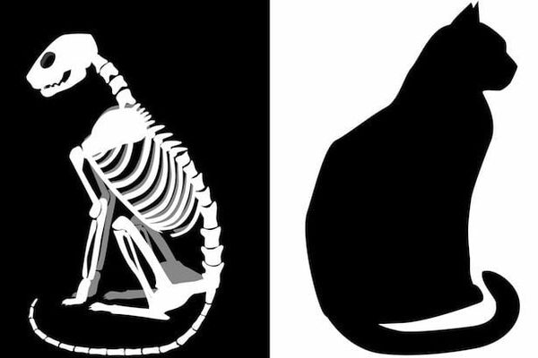 Oracle Cloud Infrastructure London Region Faces Unexplained Outage Amid Silence from Vendor