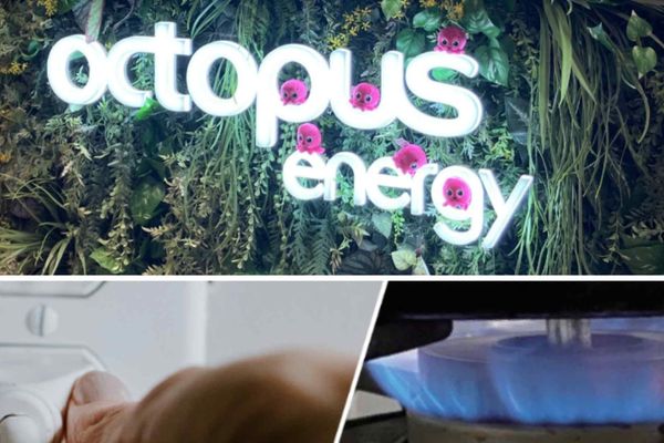 Octopus Energy Targets Japanese Expansion Through Gas Utility Partnerships