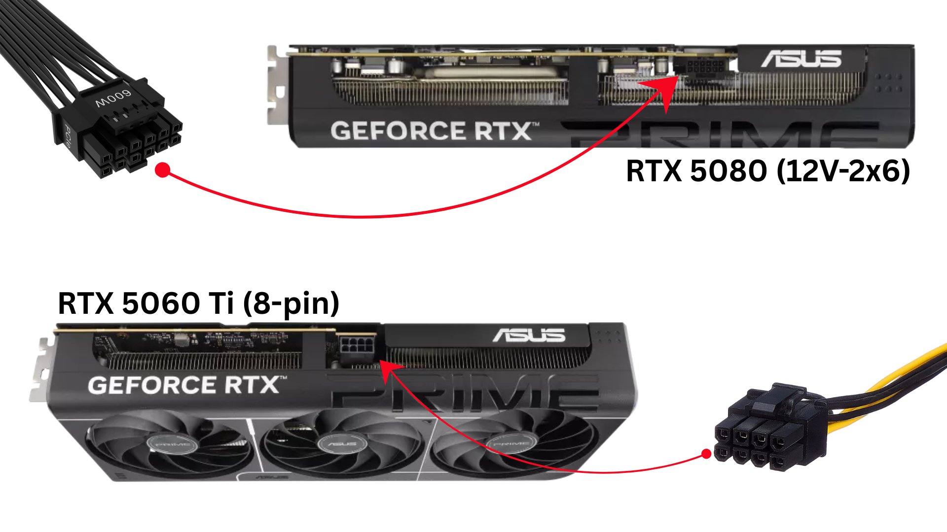 The 16-pin connector on the RTX 5080 vs. the 8-pin connector on the RTX 5060 Ti