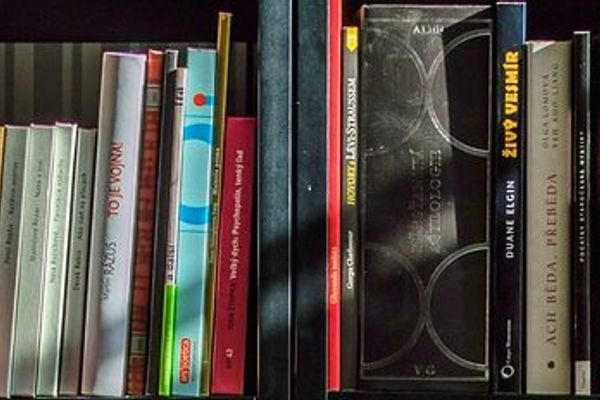 Meta's BitTorrent Fair Use Defense: A New Legal Battleground in AI Training