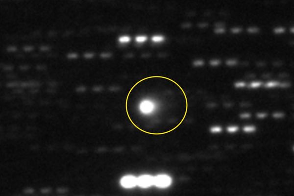 Vera C. Rubin Observatory Reveals 3I/ATLAS as Largest Known Interstellar Object