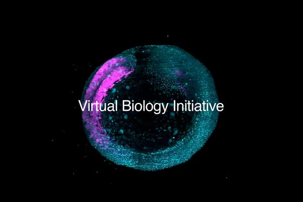 Biohub's $500M Virtual Biology Initiative Aims to Build AI-Powered Predictive Models of Human Cells