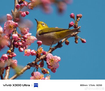 Vivo X300 Ultra stars in official new 800 mm camera samples before release - NotebookCheck.net News